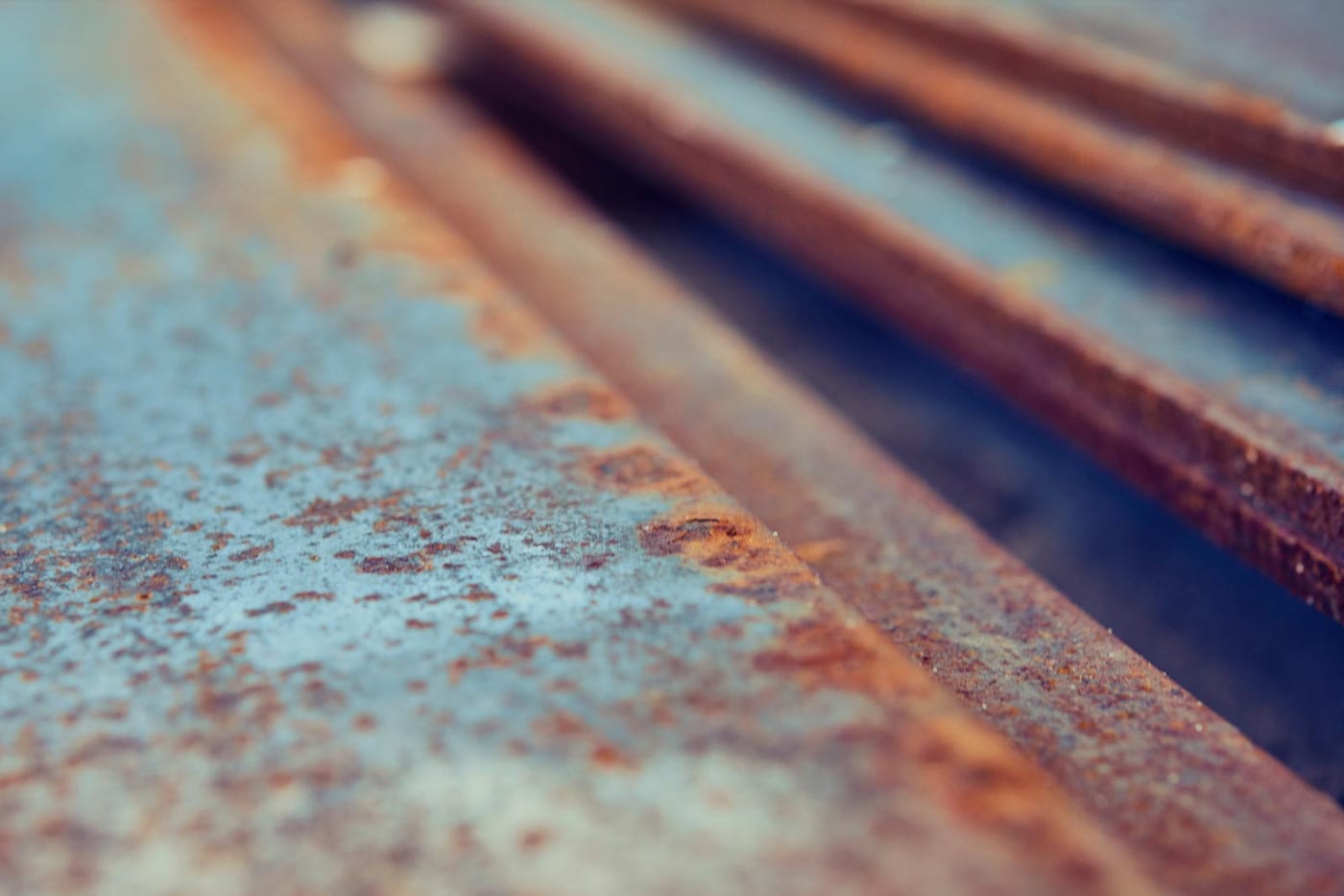 Viña Edén - Paseos Uruguay