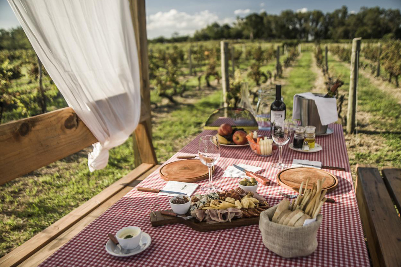 Bodega & Posada Campotinto - Paseos Uruguay Bodega & Posada Campotinto - Paseos Uruguay