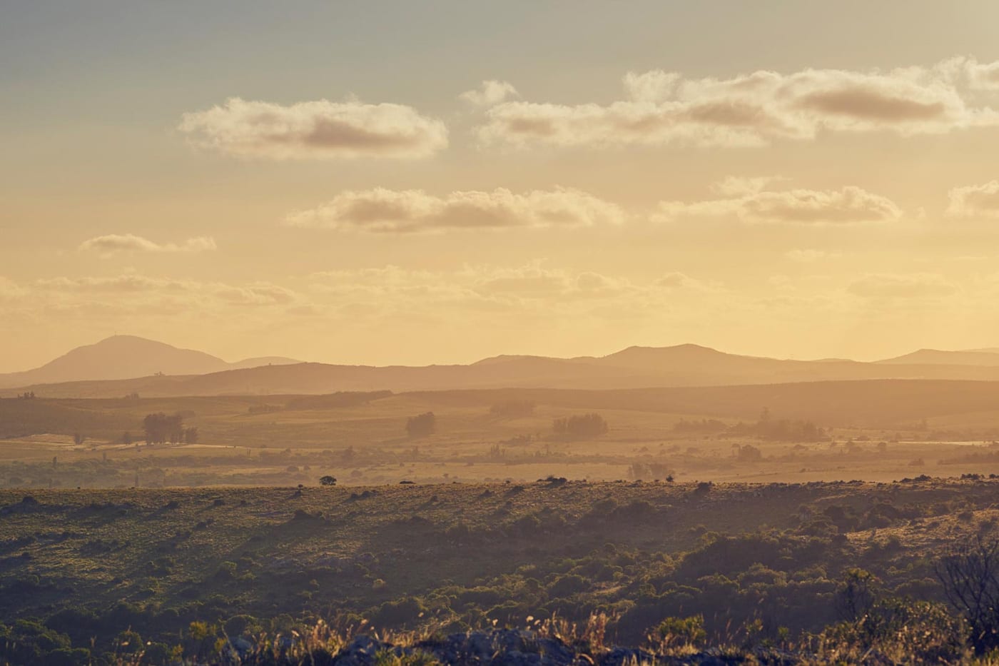 Viña Edén - Paseos Uruguay