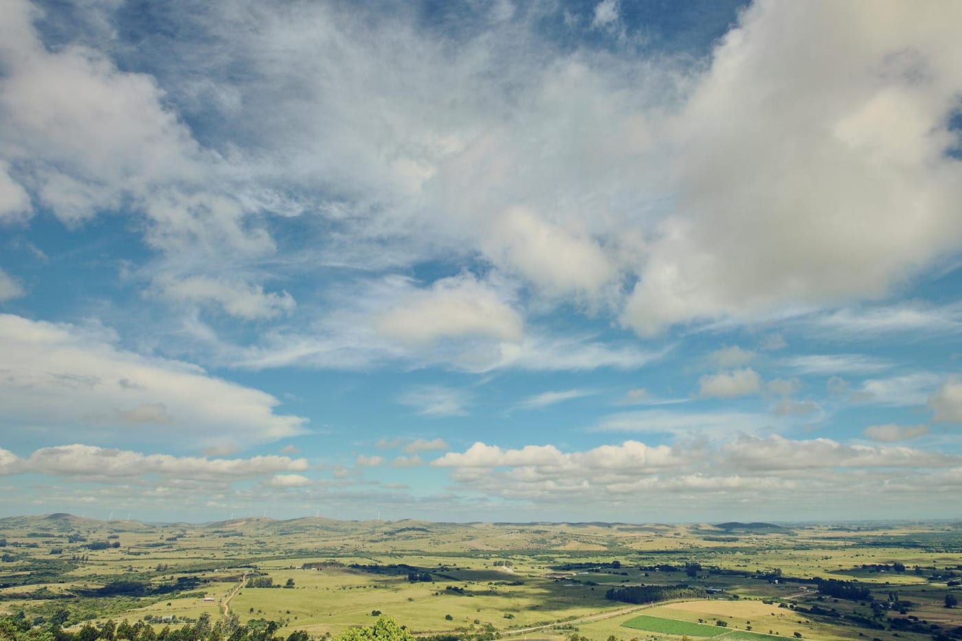 Viña Edén - Paseos Uruguay