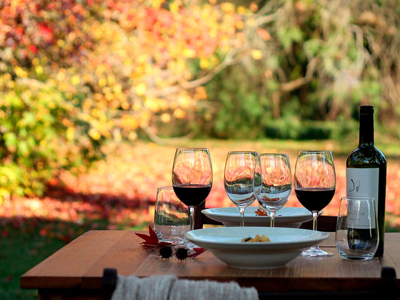 106534209_1260209804324262_8617375589577540818_n