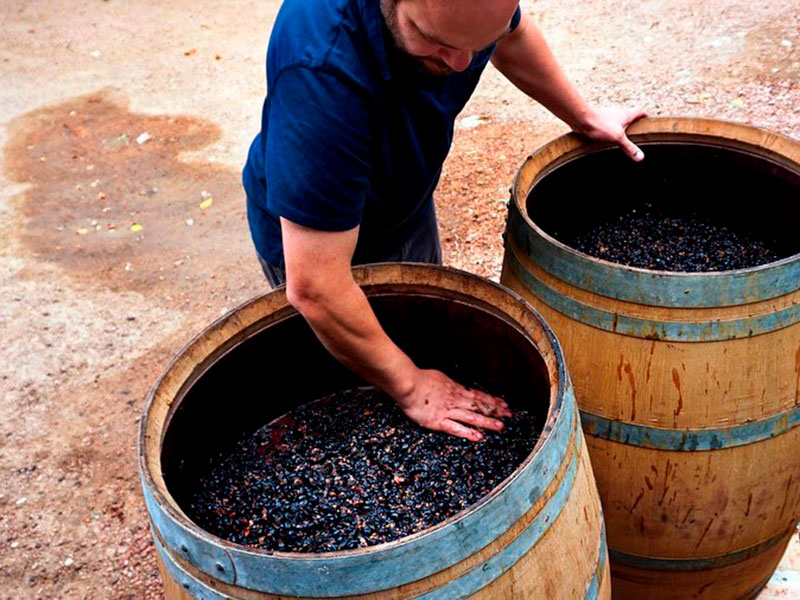 168079204_1478969842448256_8605626365775109933_n