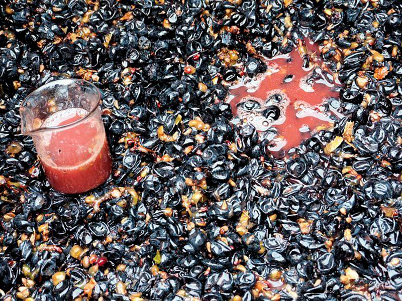 168625020_1478969849114922_3232328234211181859_n