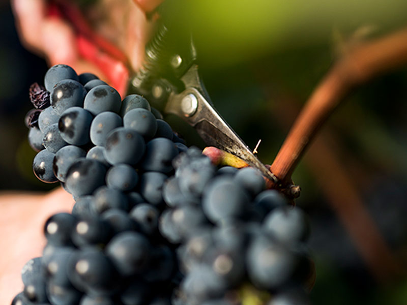 332365566_1252244428713476_1367121036402832392_n