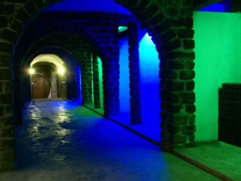 44458128_2315146185387286_8742820842028662784_n