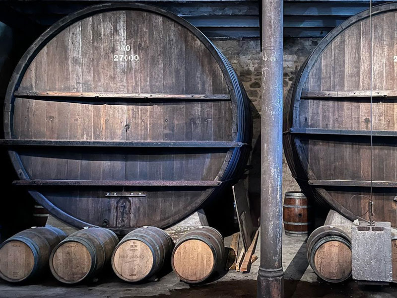 482004628_2486472838364613