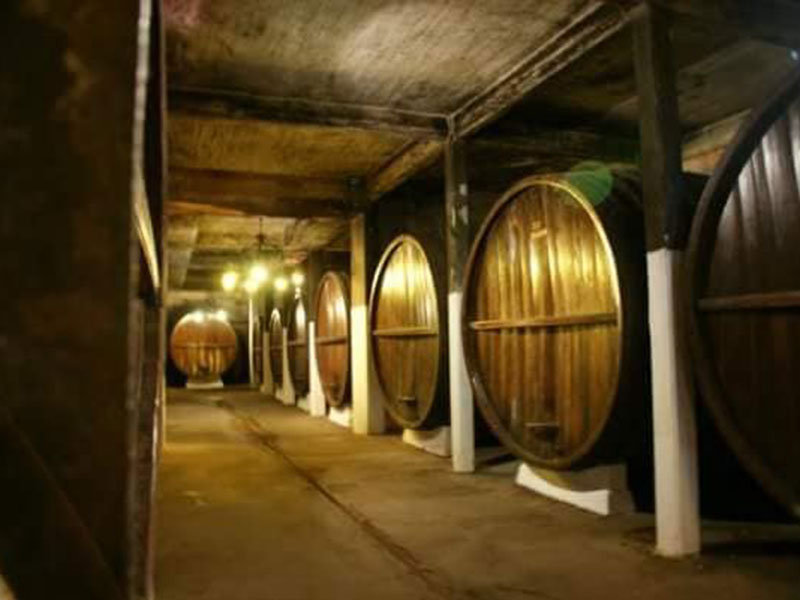 49343024_2376229892612248_107202534032015360_n